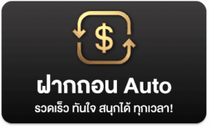 ฝาก-ถอน auto